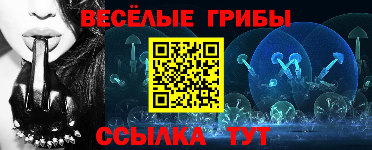 Галлюциногенные грибы Psilocybine cubensis Ленинск-Кузнецкий