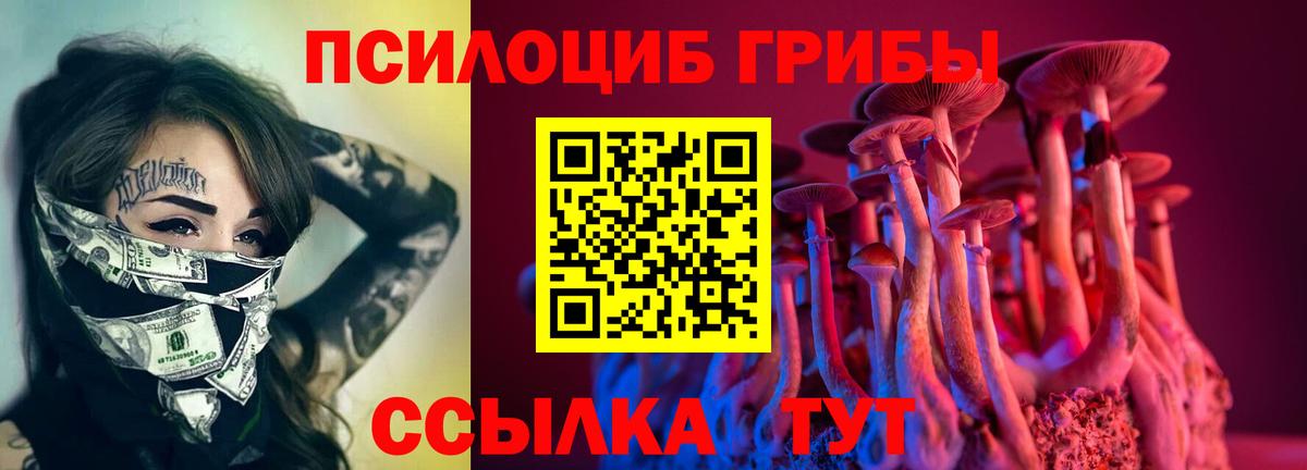 Галлюциногенные грибы MAGIC MUSHROOMS  Вход с VPN  Ленинск-Кузнецкий 